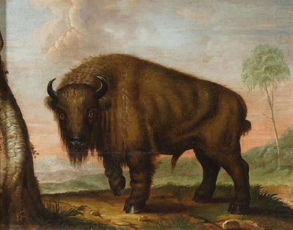 unknow artist Wisent oil painting picture